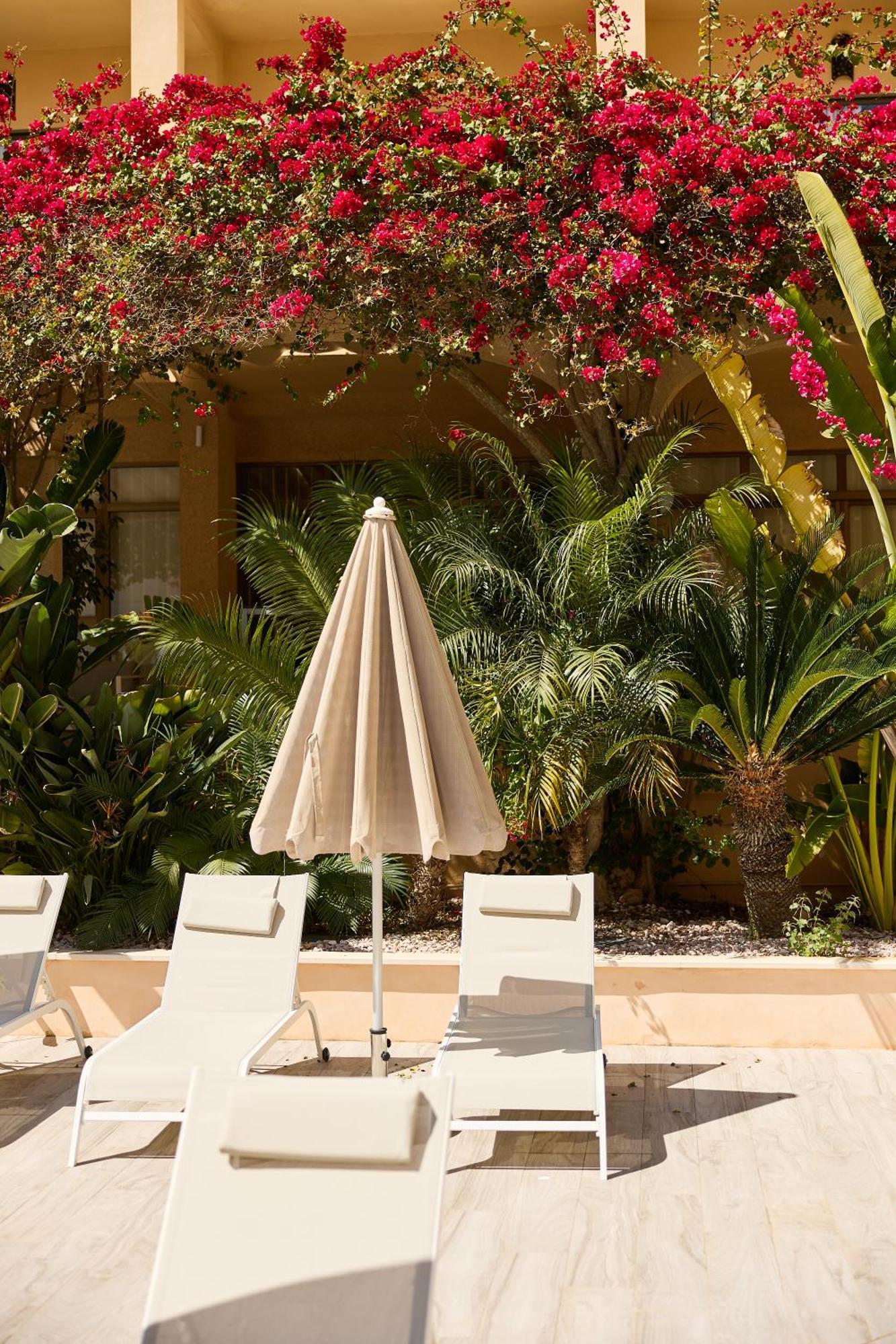 Apartamentos Isla Del Sol Can Pastilla  Dış mekan fotoğraf